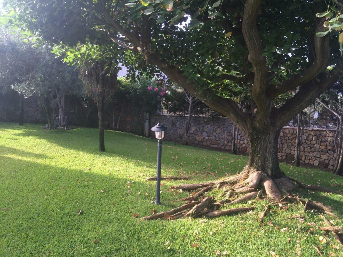 Casolare Giummari Bed & Breakfast Carini Bagian luar foto