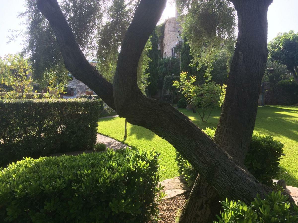 Casolare Giummari Bed & Breakfast Carini Bagian luar foto